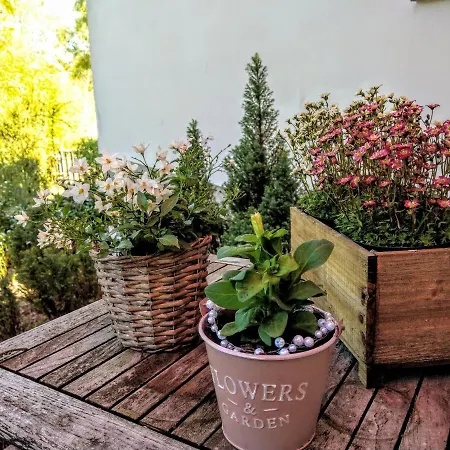 Accommodatie bij particulieren Haus Am Park