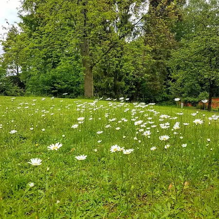 Haus Am Park Quarto em Acomodações Particulares *