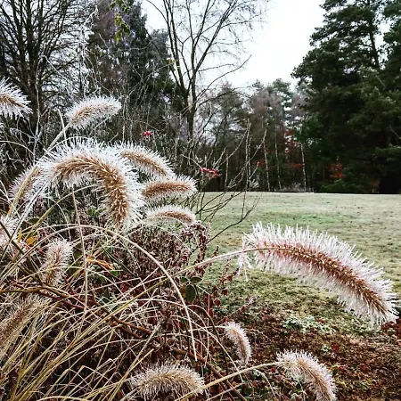 Haus Am Park Quarto em Acomodações Particulares *